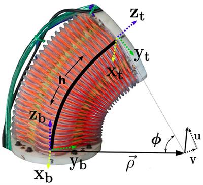 Model Reference Predictive Adaptive Control for Large-Scale Soft Robots